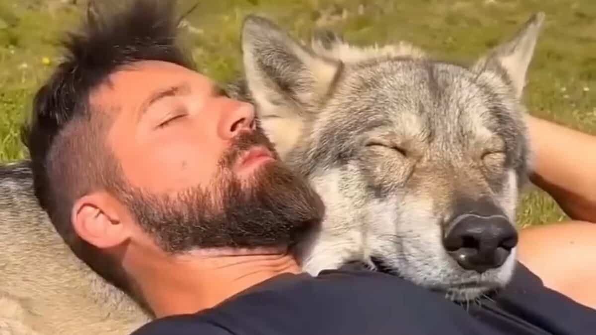 Puppy turns out to be Wolf