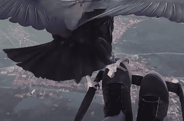 Watch Paraglider In Flight With Vulture