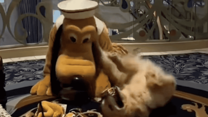 Golden Retriever Meets Its Favorite Disney Character