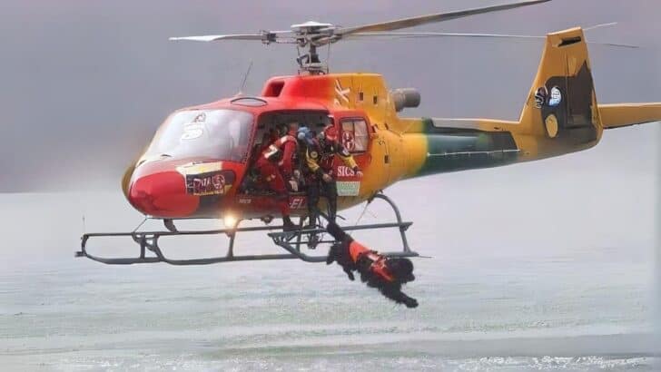 Applause for Paws! Meet The Four-Legged Lifeguard!