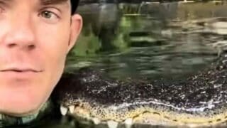 man trains alligator