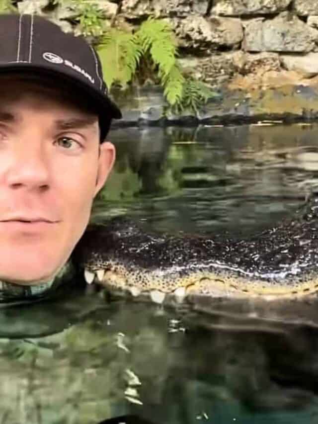 Man Trains Alligator to Be a Cuddle Buddy