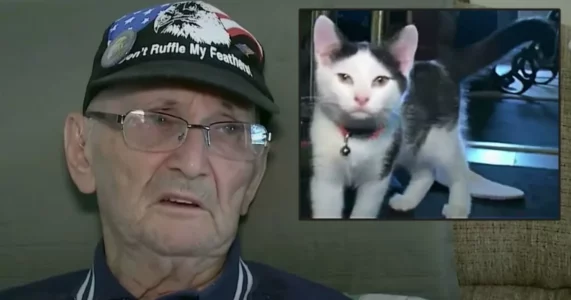 Heroic Cat Saves 84-Year-Old’s Life After Bathroom Fall