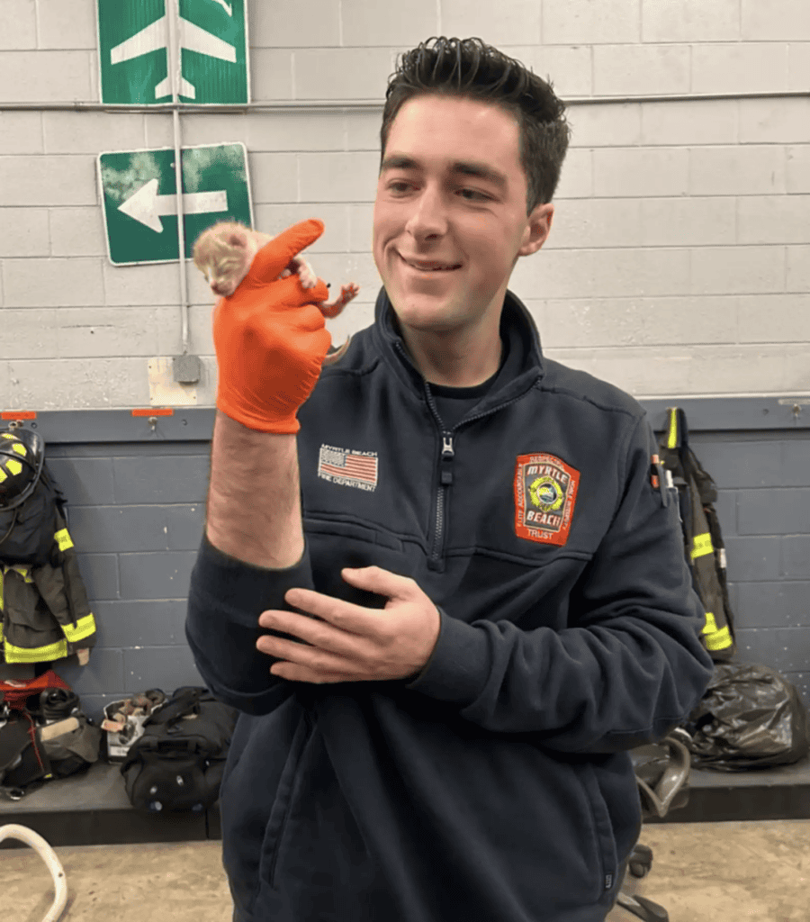 firefighter saves kittens