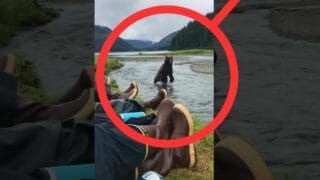 Black Bear Runs Past Campers