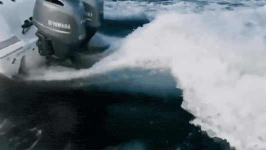 Amazing: Friendly Orca Chases Boat