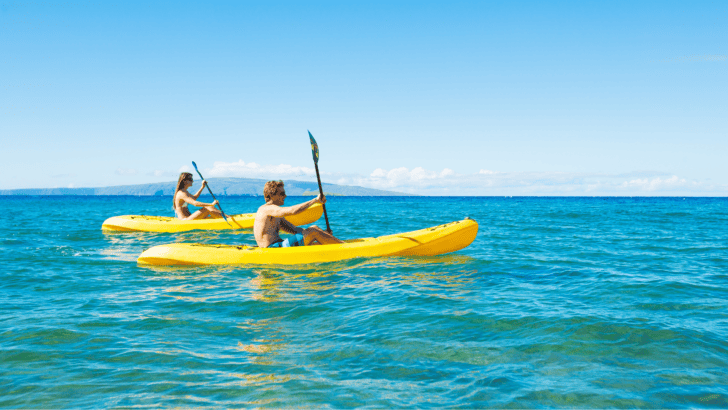 Top 4 Colors That Attract Sharks