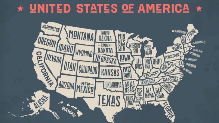 Discover American States With The Most Fascinating Wildlife