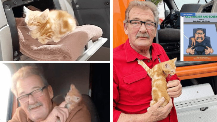 Kitty Bobby Rescued by Old Trucker Mike, Finds Home at Pumpkin Patch