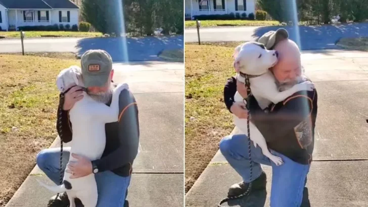 Saved From Cruel People, This Rescue Dog Hugged Its New Owner Nonstop