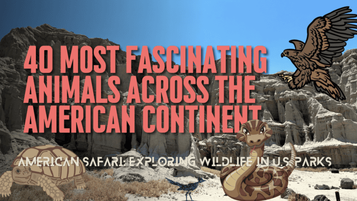 40 Most Fascinating Animals Across the American Continent