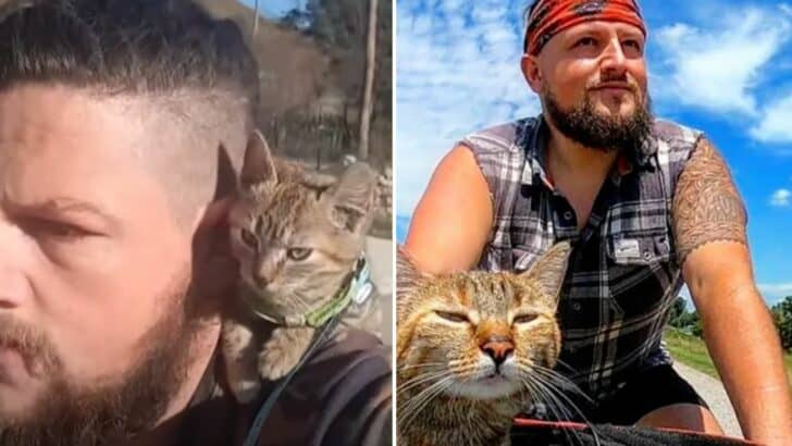 Kitten Joins a Biker for the Adventure of a Lifetime