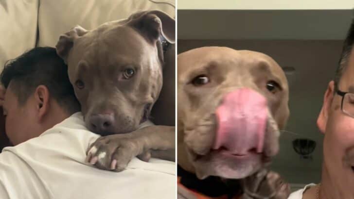 When You Know He Likes Dad More…