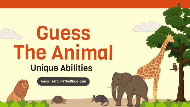 Unique Animal Abilities Quiz