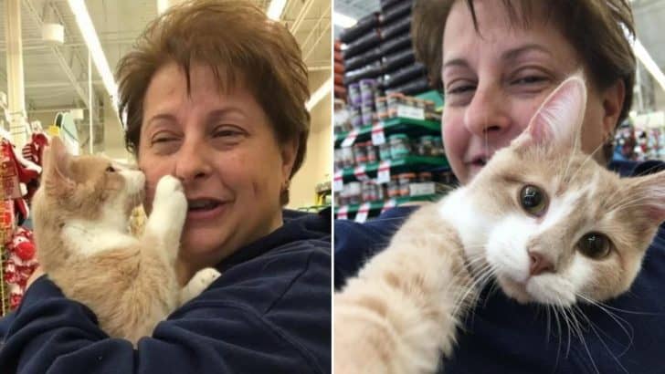 Sweet Cat Showers His New Mommy With Kisses After She Gave Him A Forever Home
