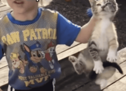 Boy Mistakes A Kitten For A Raccoon