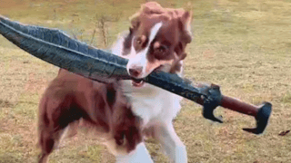 Sword Fighting Dog's Special Sword Breaks