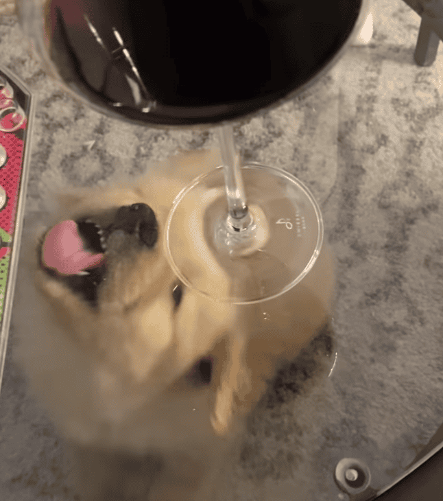 When Wine Night Is So Close But Yet So Far Away. Image by thegoldenboy_bauer via YouTube
