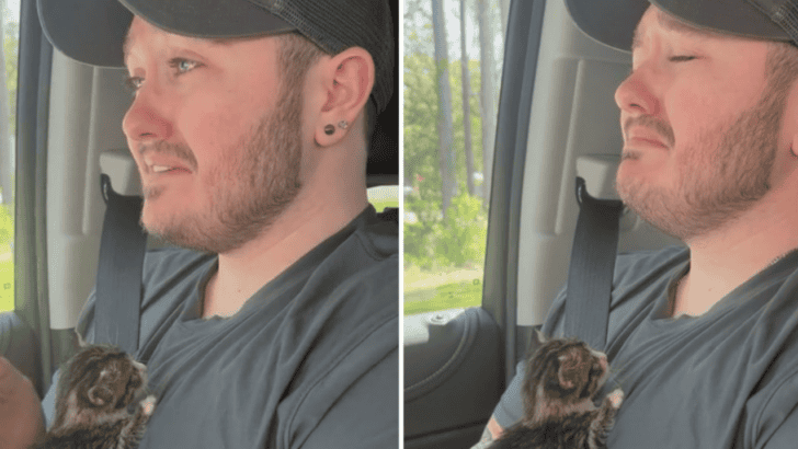 Man Goes To Starbucks Drive-Thru & Gets A Kitty Instead