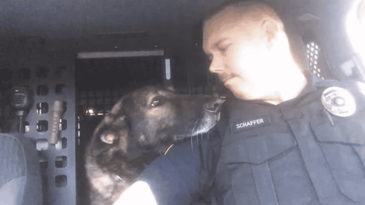 A Hero’s Farewell: K-9 Officer’s Final Call