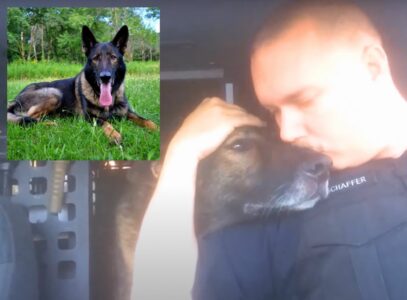 K9 Officer Receives Emotional Final Radio Call After 8 Years Of Dedicated Service