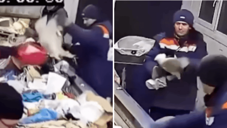 Worker Saves A Cat From A Garbage Disposal Machine