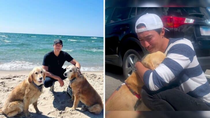 Neglected and Chained, the Arrival of An Actor Transformed This Dog’s Life!