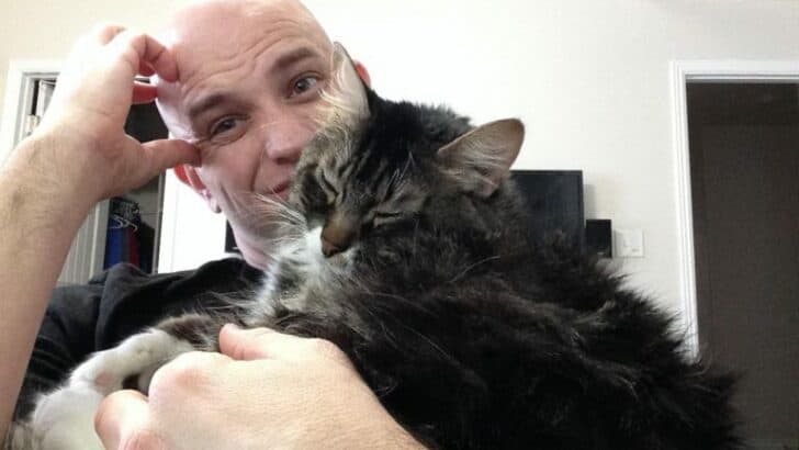 Girlfriend Insists Her Man Gets Rid Of His Cat But He Leaves Her Speechless