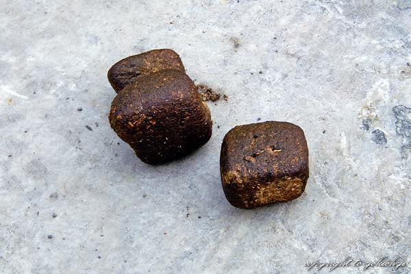 Poop Piles