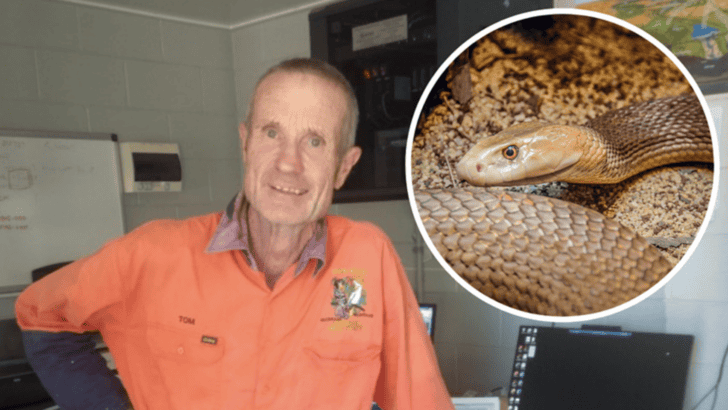 Lucky Farmer Survives Bite From The Worlds Most Venomous Snake (45 Min Deadline)
