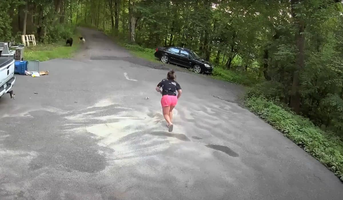 woman chases bear down driveway