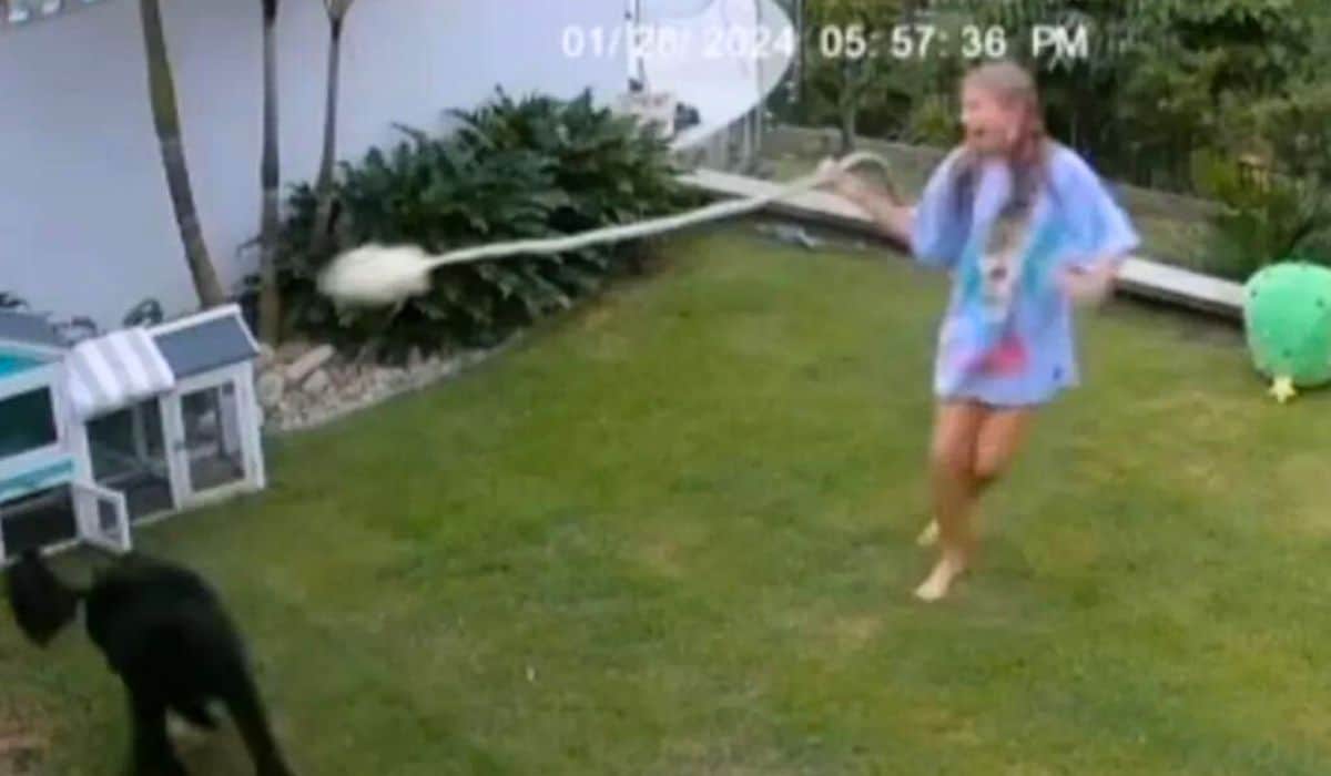 girl swings python