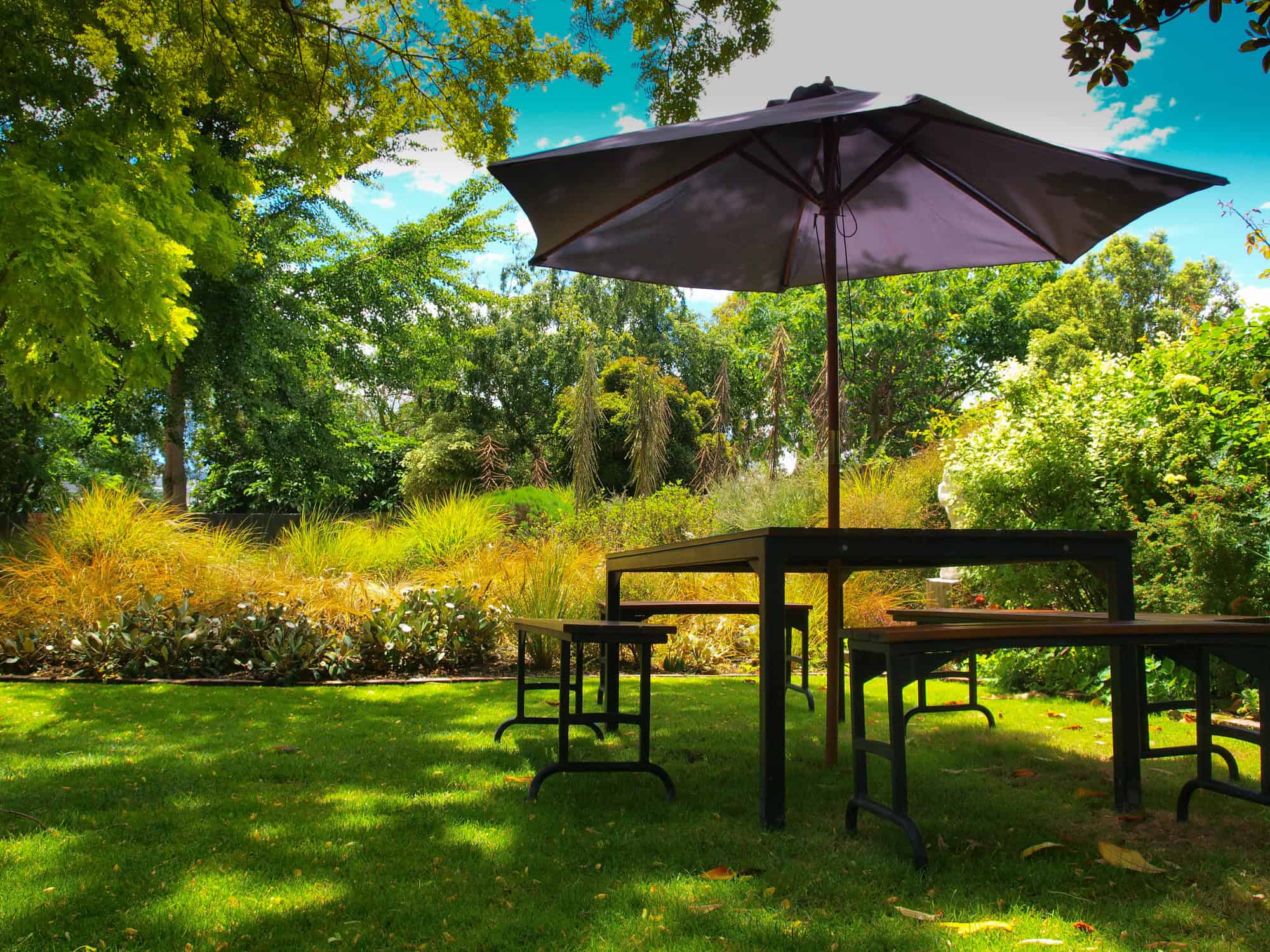 garden with parasol