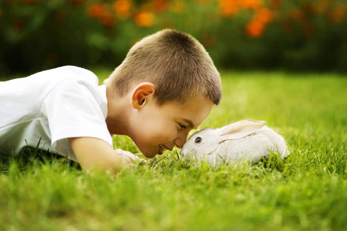 pet-friendly garden