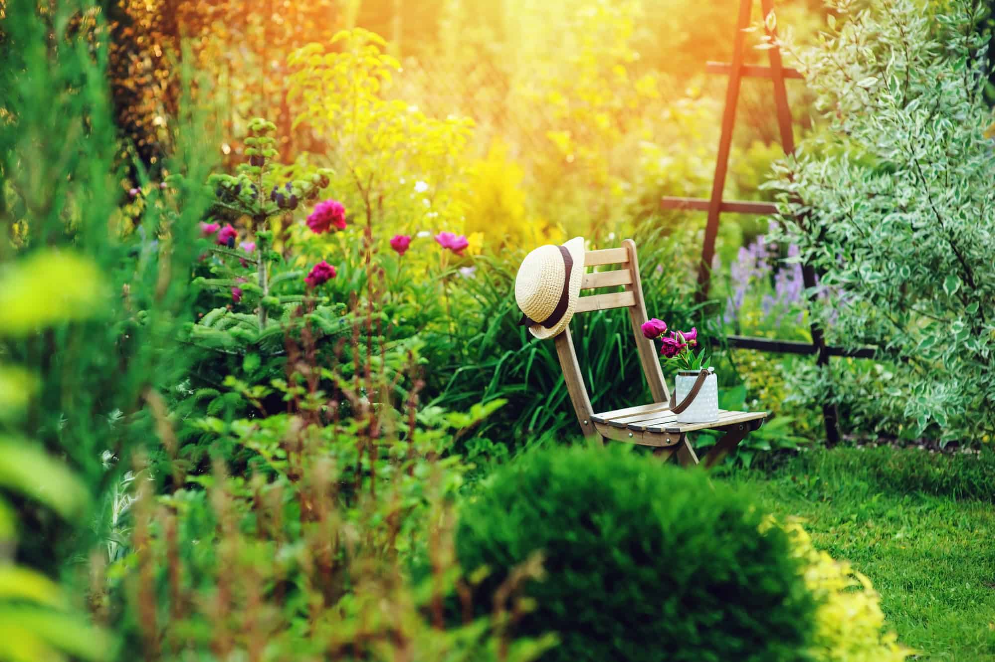 garden