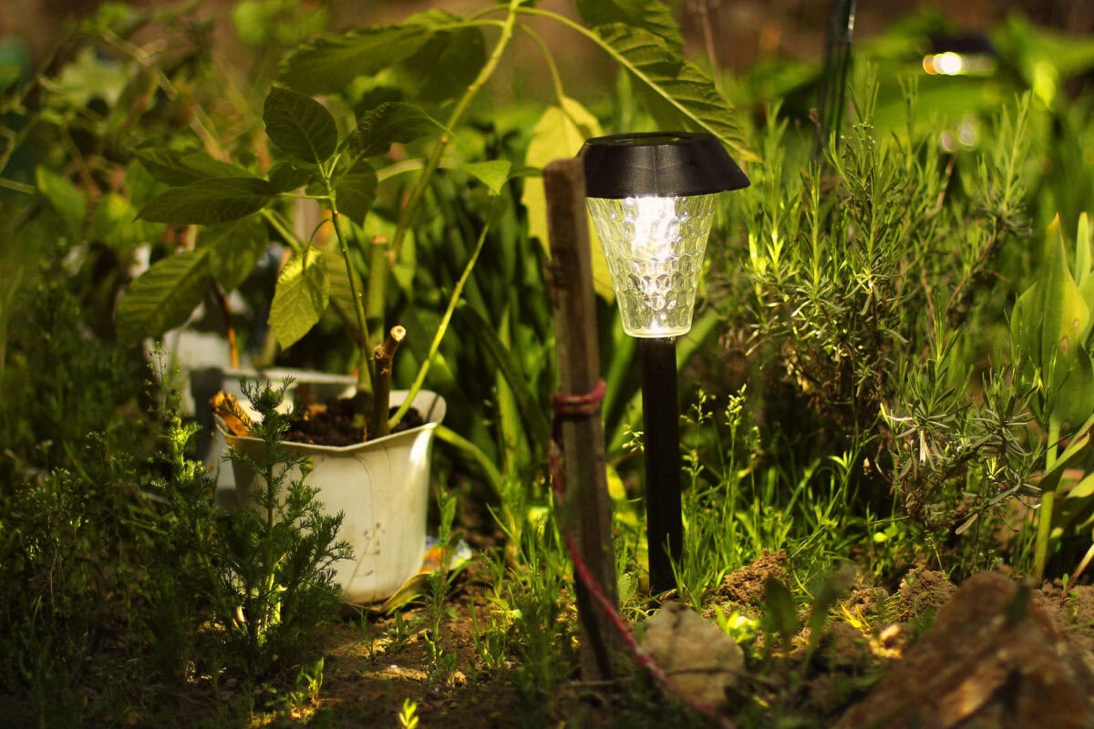 solar power light in garden