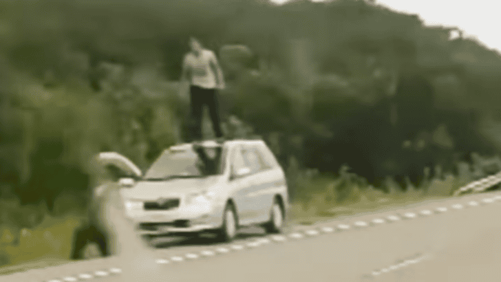 Tourist Tries To Feed Bear Gets Chased On Top Of His Car