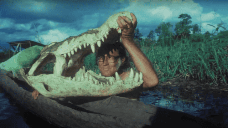 Meet Enormous 20-Foot Saltwater Crocodile