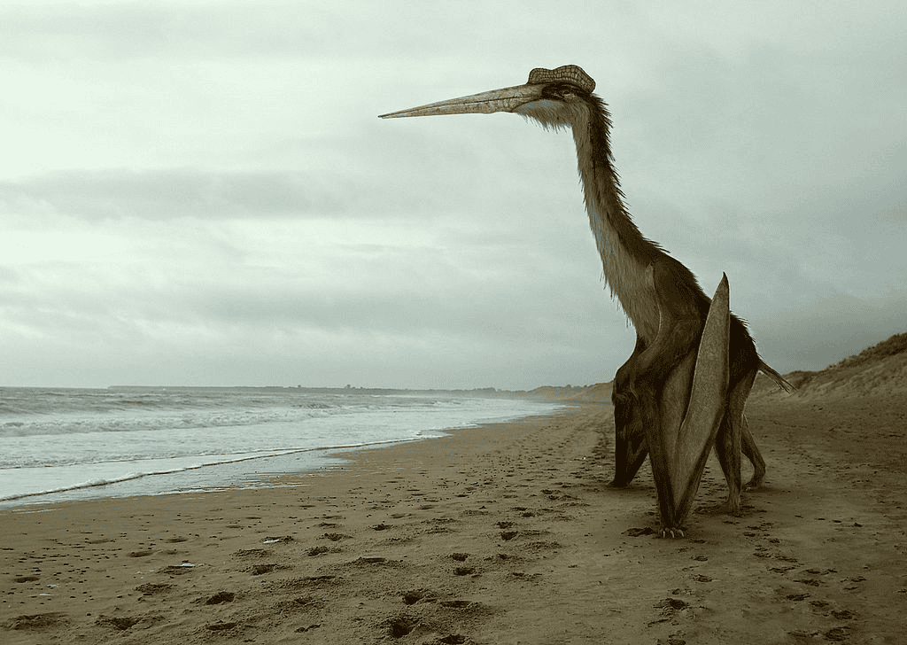 Quetzalcoatlus
