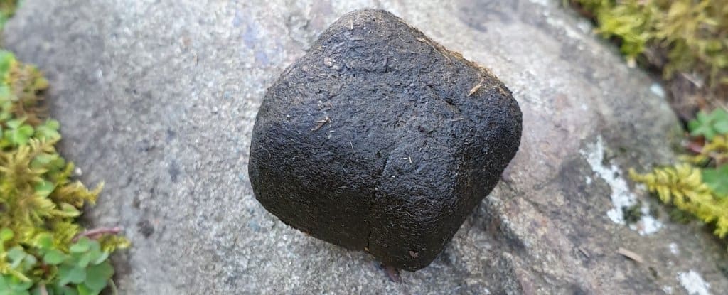 Wombat Territory Markers