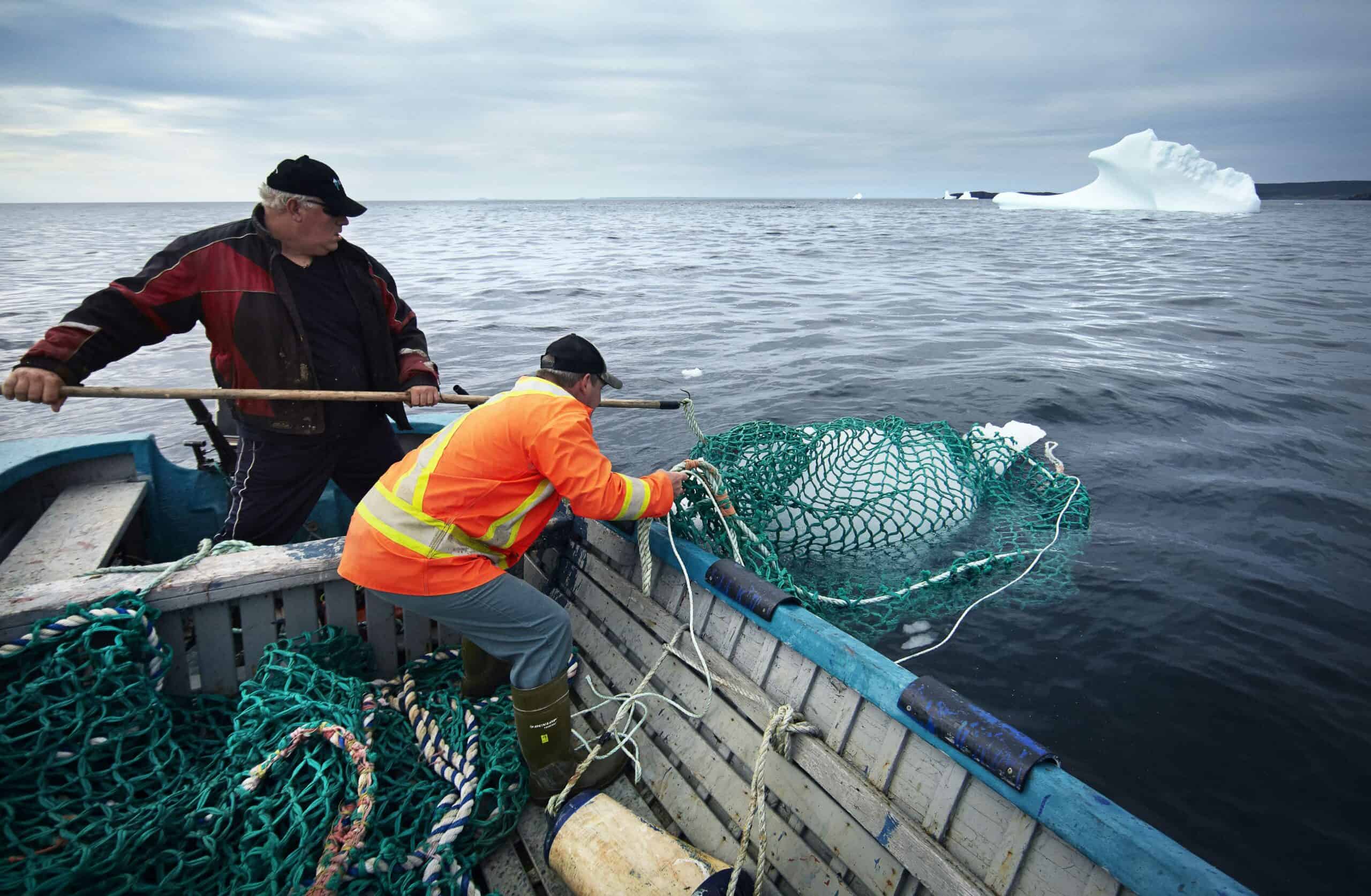 How Iceberg-Hunting Has Changed the Life of Fishermen in Canada