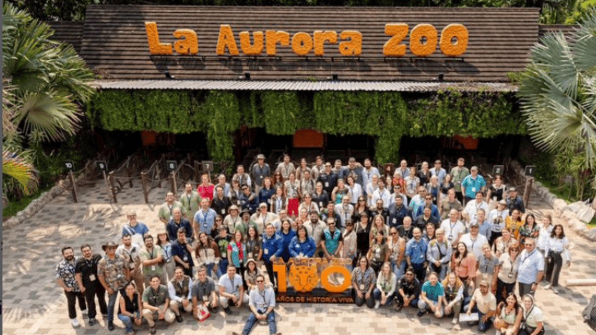 La Aurora Zoo