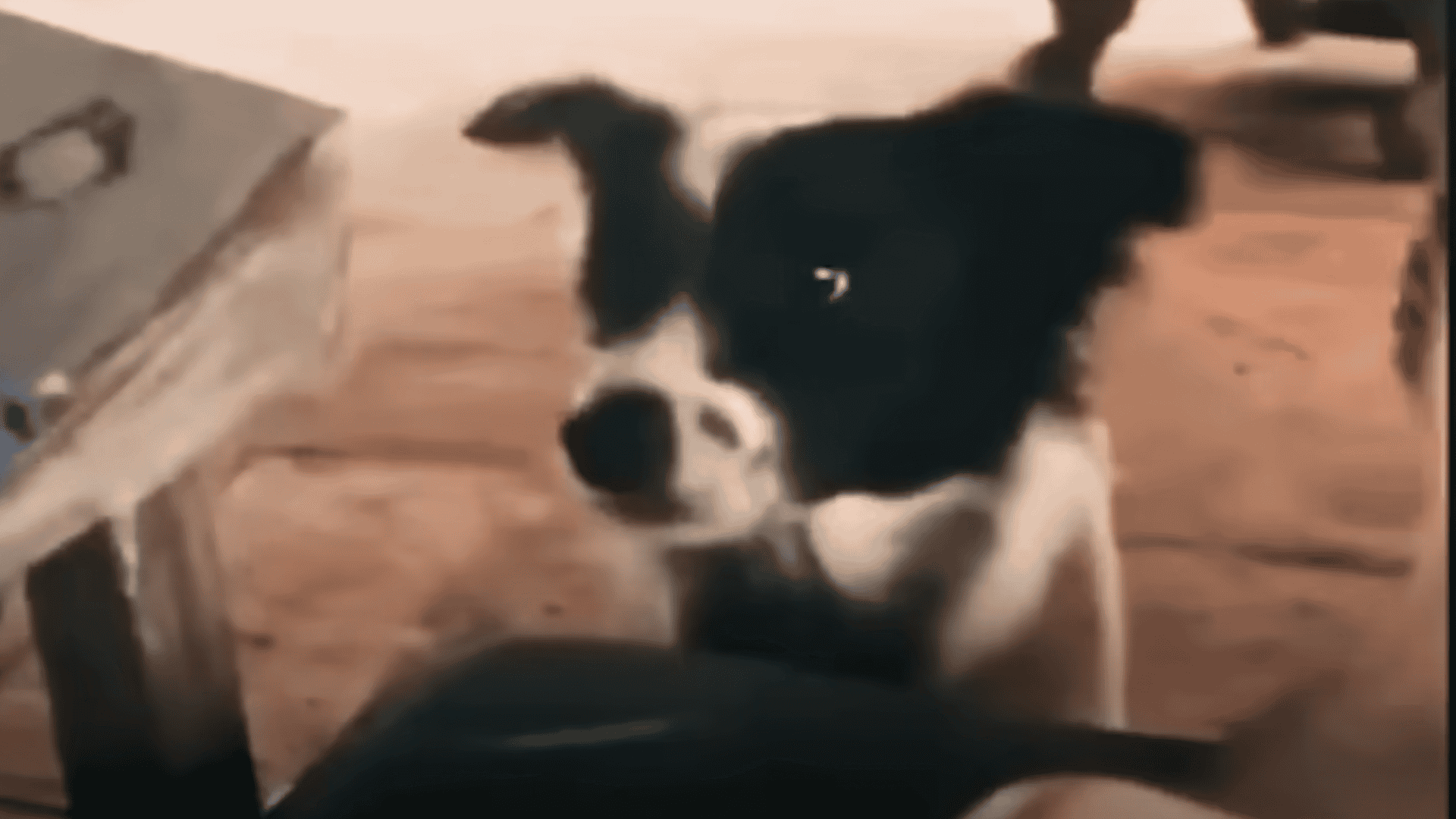 Stray Dog