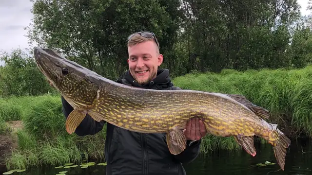 Swedish Youth Captures Monster Pike (24.5 lbs) Using Human Blood