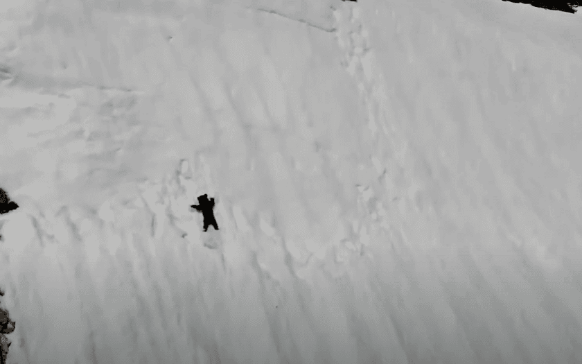 Bear cub slides down mountain