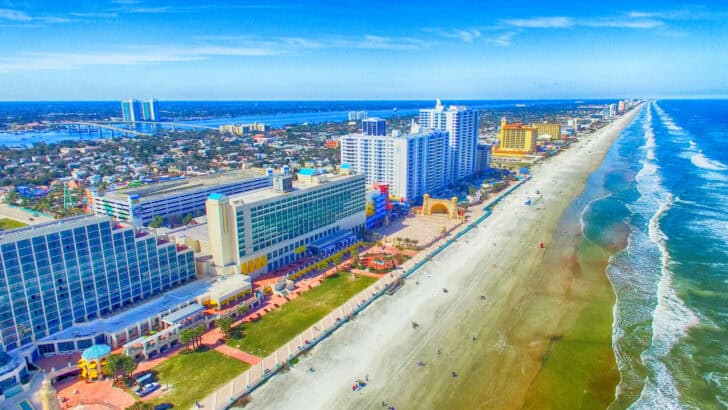 Florida Reports Four Shark Bites in Six Days