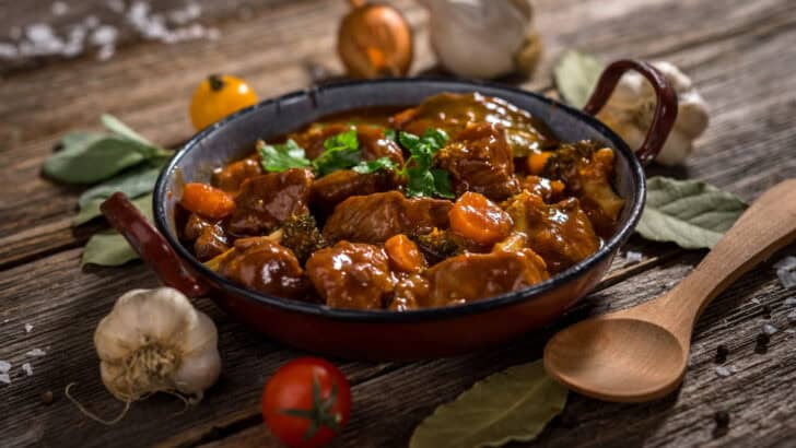 50,000-Year-Old Bison Named Blue Babe Was Served as Bison Stew at Dinner Party in 1984, Alaska