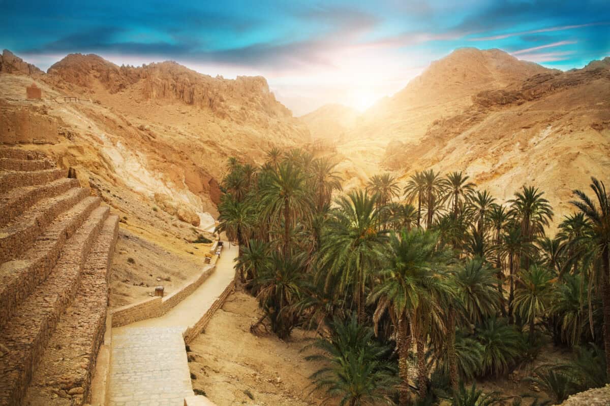 Sahara Desert