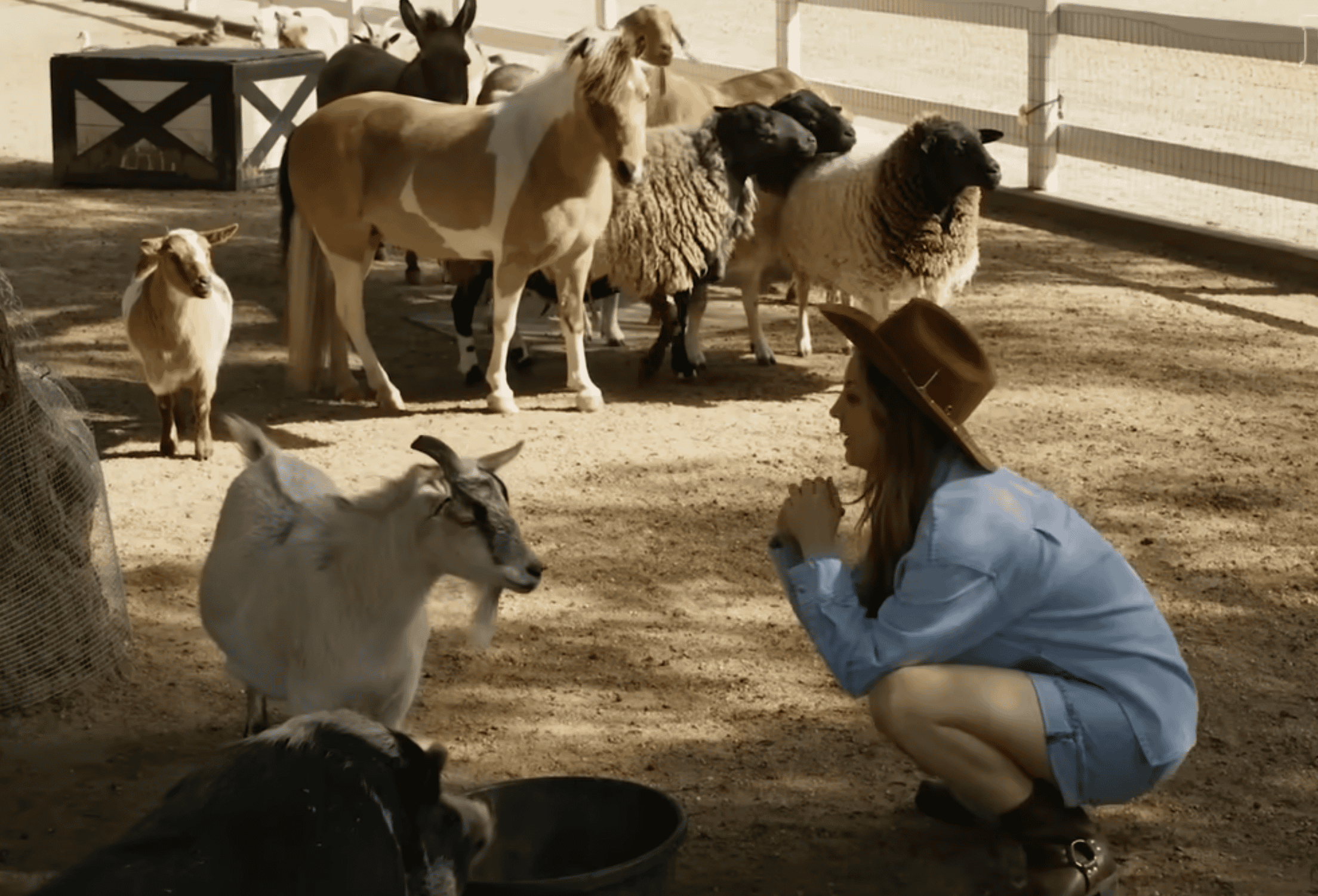 The Charming Rescue Ranch Owned by Actress Kaley Cuoco - Animals Around ...