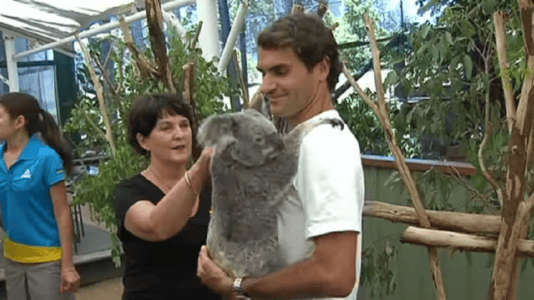 The Hidden Dangers of Wildlife Tourism—Are You Accidentally Harming ...